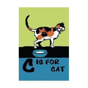  C is for Cat 20x30 poster