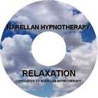 Motivation Self Hypnosis CD Narellan Hypnotherapy  