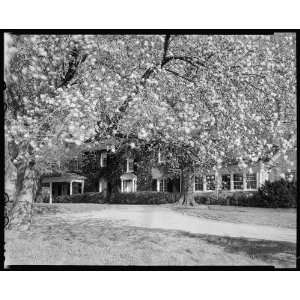  Foxcroft School,Middleburg,Loudoun County,Virginia: Home 