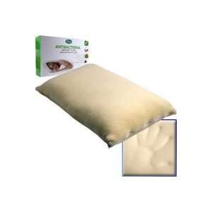  Remedy Antibacterial Memory Foam Pillow: Home & Kitchen