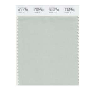  PANTONE SMART 13 6107X Color Swatch Card, Green Lily: Home 