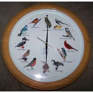  Singing Wild Bird Clock: Home & Kitchen