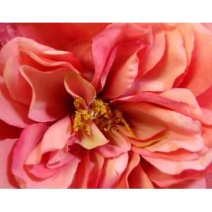  NEW Pink Open Rose Hair Flower Clip, Limited. Beauty