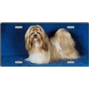 Shih Tzu Dog Pet Novelty License Plates Full Color Photography License 