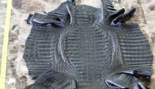 XXL Genuine Crocodile Horn Back Skin Caiman Hide Black  