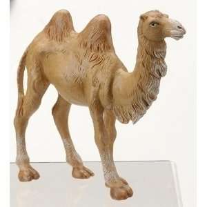  Standing Camel