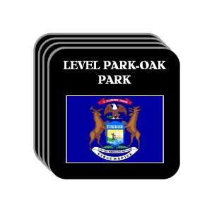  US State Flag   LEVEL PARK OAK PARK, Michigan (MI) Set of 