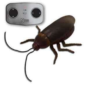    Natural History Museum Remote Controlled Cockroach: Toys & Games