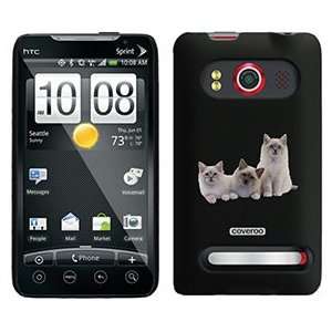  Birman Three on HTC Evo 4G Case  Players & Accessories