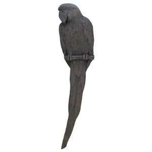  McCaw Parrot Cabinet Pull, Dark Brass, Facing Right