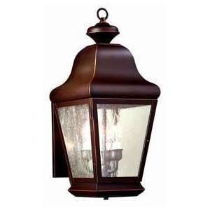  Troy Lighting BCD4920OB Carlton Bronze Outdoor Wall Sconce 