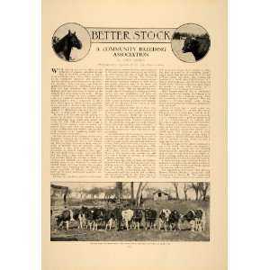   Bull Farming Animals Livestock Record   Original Print Article Home