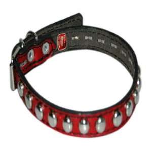   Studded Red Leather Collar (Fits neck size 7 10): Kitchen & Dining