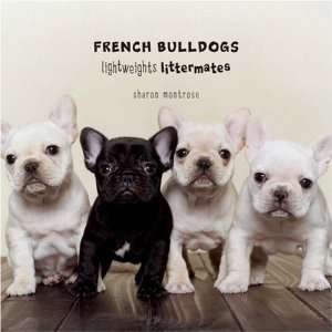   Bulldogs Lightweights Littermates [Hardcover] Sharon Montrose Books