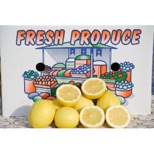Fresh Lemons   35 Lb Carton of Fresh Fruit  Grocery 