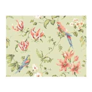   Tropical Floral Wallpaper, Mint Green Background: Home Improvement