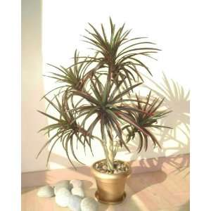  3ft Yucca Palm, Artificial Tree: Home & Kitchen