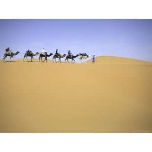  Camels in Caravan Walking in Desert, Morocco Travel 