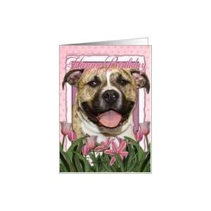  Happy Birthday Pitbull in Pink Tulips Card Health 