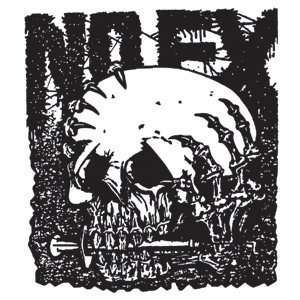  NOFX   Skull   Sticker / Decal Automotive