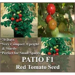  Tomato seeds ~ 4 CONTAINERS & SMALL SPACES Only 70 Days VERY COMPACT