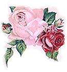HUGE Pink & Red Rose Couplet Decals   Stickers or Clin