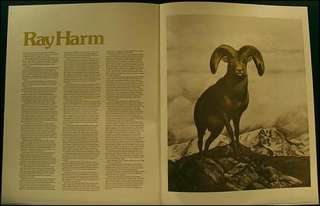 Ray Harm ROCKY MOUNTAIN BIG HORN SHEEP 28 x 22 signed numbered never 