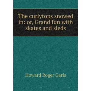   in or, Grand fun with skates and sleds Howard Roger Garis Books
