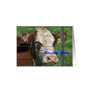  Missing You Cow Occasions Card Card Health & Personal 