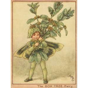  The Box Tree Fairy Canvas Reproduction