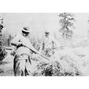  1917 photo Billy and Ma Sunday making hay on their Hood River 