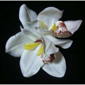  White Cymbidium Orchid Flower Hair Clip: Beauty