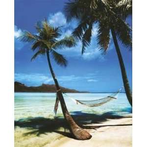   Trees Beach Nature Scenic Travel Poster 16 x 20 inches