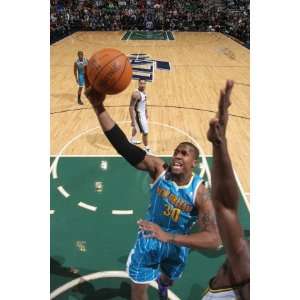   Orleans Hornets v Utah Jazz David West by Melissa Majchrzak, 48x72