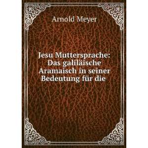   ische Aramaisch in seiner Bedeutung fÃ¼r die .: Arnold Meyer: Books