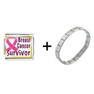   Breast Cancer Survivor Pink Italian Charm Bracelet: Pugster: Jewelry