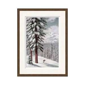   Of Tall Western Hemlock Trees Framed Giclee Print