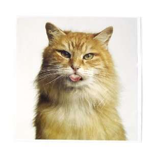  RUDE CAT by GK & VIKKI HART GREETING CARD