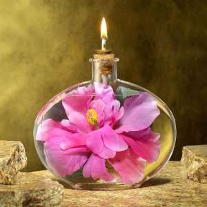  Kahar 24 oz. Pink Hibiscus Botanical Oil Lamp (K17049 CSB 