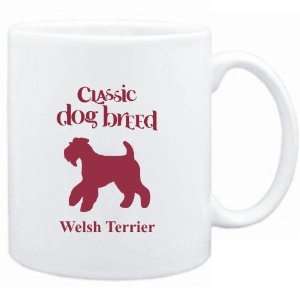   Mug White  Classic Dog Breed Welsh Terrier  Dogs