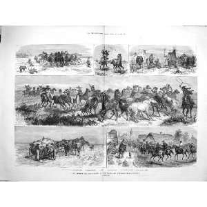  1881 Wild Horses Puszta Hungarian Heath Country