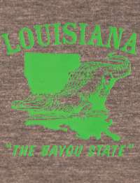 Vintage Louisiana State American Apparel TR401 T Shirt  