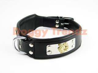 STAFF STAFFY BULL TERIER LEATHER DOG COLLAR EXCLUSIVE  