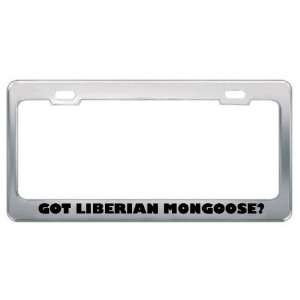 Got Liberian Mongoose? Animals Pets Metal License Plate Frame Holder 