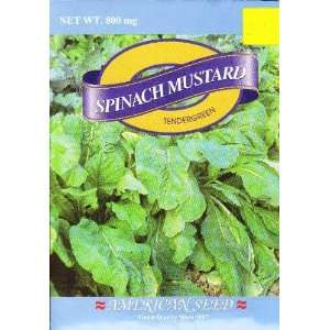  Tendergreen Spinach Mustard Patio, Lawn & Garden