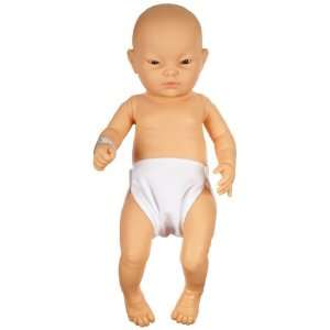 3B Scientific W17003 Asian Female Baby Care Model, 19.7 Height 
