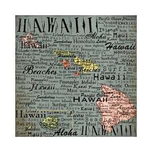  Scrapbook Customs   United States Collection   Hawaii   12 