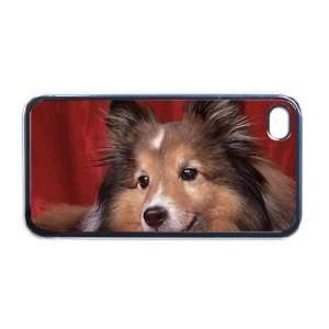 : Cute Border Collie photo Apple iPhone 4 or 4s Case / Cover Verizon 
