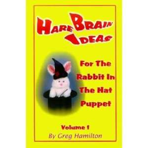  Hare Brain Ideas Book   Hamilton: Toys & Games