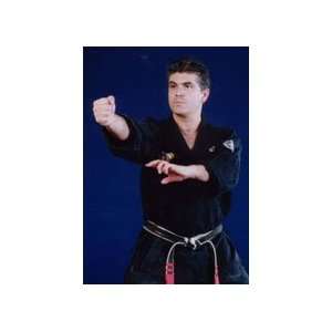 American Kenpo Karate 40 DVD Set by Mohamad Tabatabai  